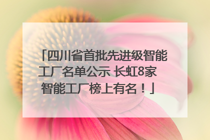 四川省首批先进级智能工厂名单公示 长虹8家智能工厂榜上有名！